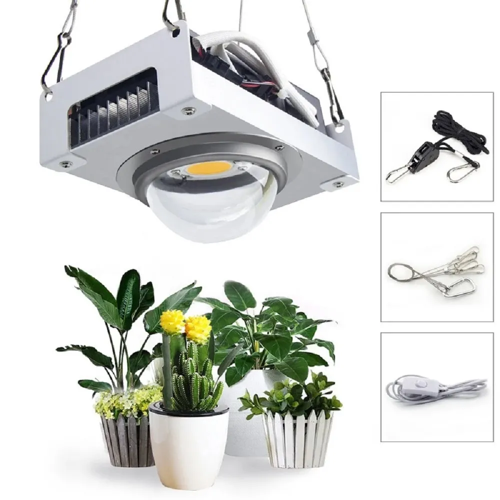 Citizen cob led grow light deals