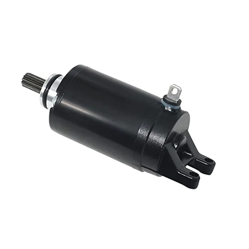 Tiger 800 motor 2025