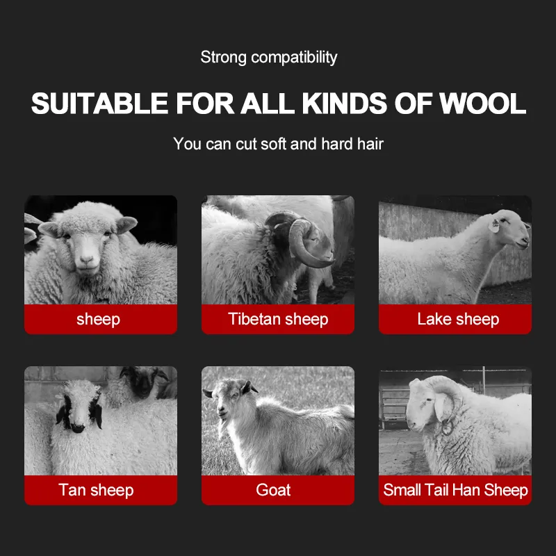 Save Big on Bulk Sheep Shears Electric Powerful 1600W/1300W Speed  Electric Wool Shears For Livestock: Goat, Horse, And Sheep Shearing Best  Deals