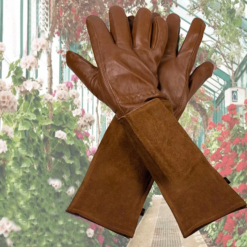 Cut-resistant Elbow-Length Gardening Gloves with Thickened Sheepskin for  Pruning and Labor, Unisex, Polyester, Zhejiang China from Dhgate Planters &  Pots - price 46.85