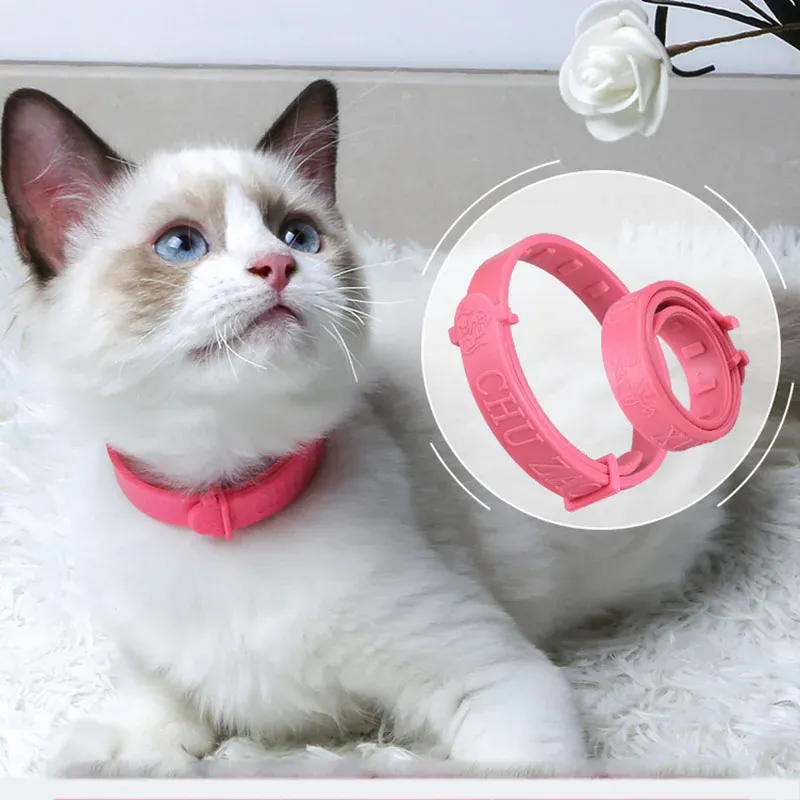 Hochwertiges Anti Floh Halsband Fr Hunde Und Katzen... Von 20,13  | DHgate