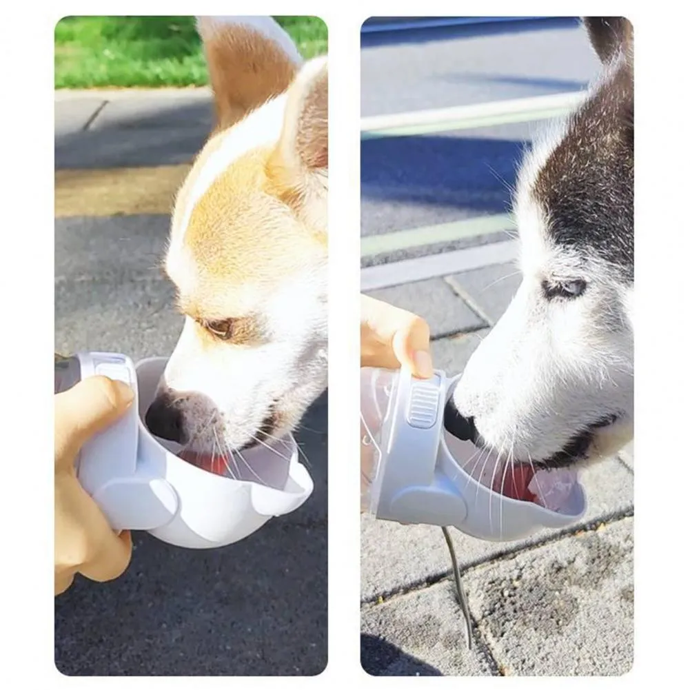 3 In 1 Pet Water Bottle Outdoor Portable Dog ... - Gift Tree NZ