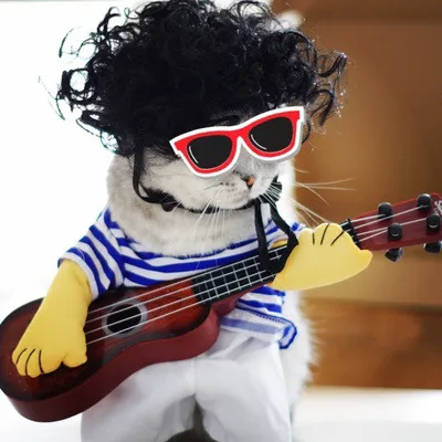 Cat with guitar costume cheap