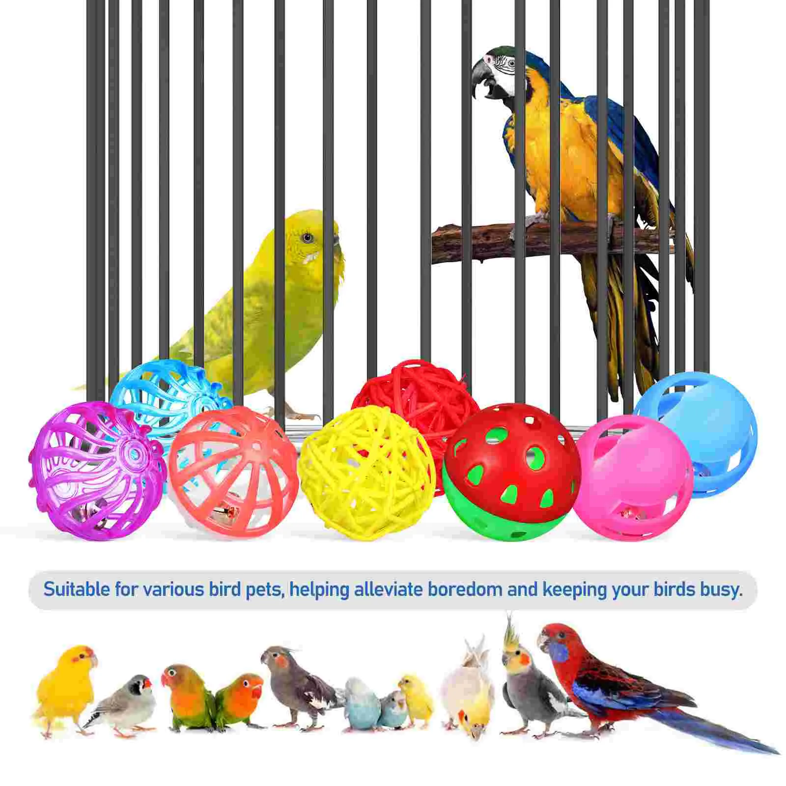 Parrot ball shop