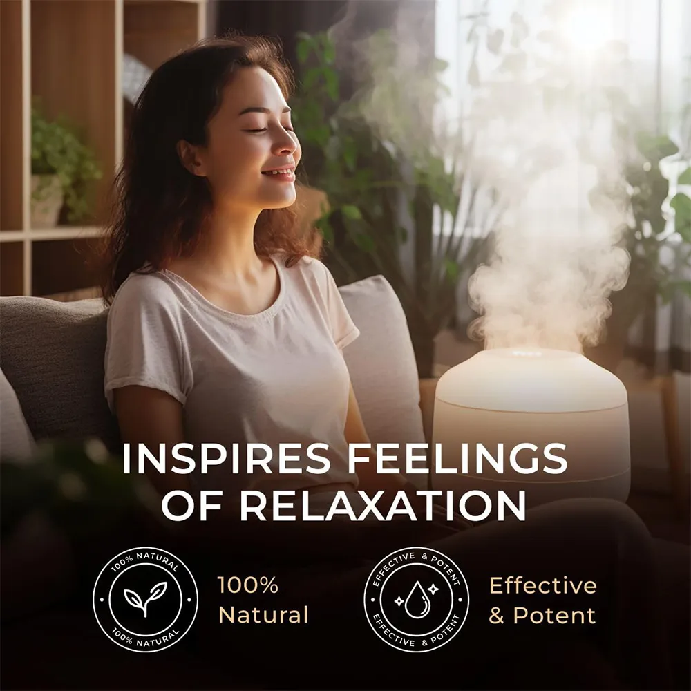 100% Pure Aromatherapy Essential Oils Set for Diffusers & Humidifiers ...