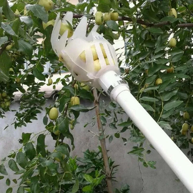 Apfelpflücker Mit Teleskopstiel Obstpflücker It Teleskopstiel, 2,6 Apfelpflücker, Kirschenpflücker It Leichter Edelstahl Gardena Obstpflücker