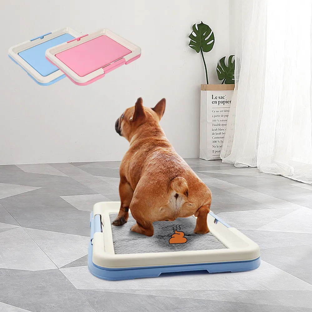 Train dog to use litter box 2025