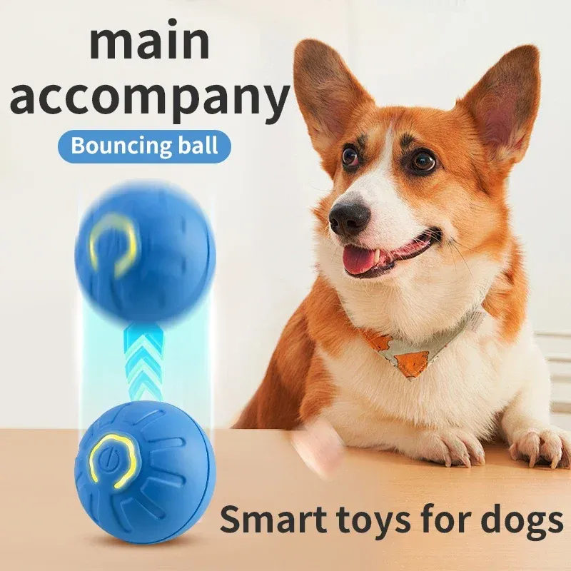 Rechargeable Smart Moving Gravity Jumping Dog Entertainment Toys Ball Interactive Pet Product From Quanyuanfacai 12.58 DHgate.Com