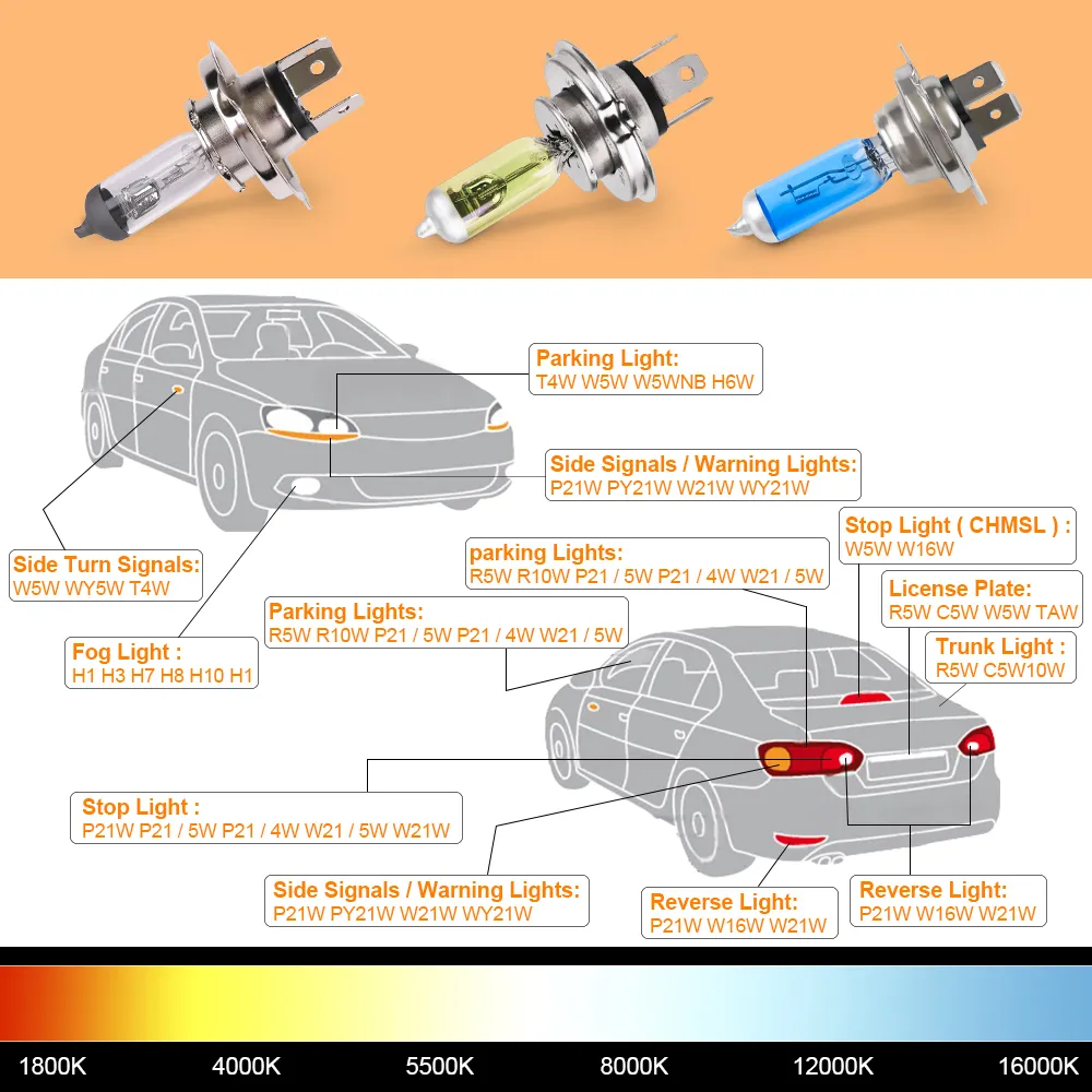 12v bulb types hot sale