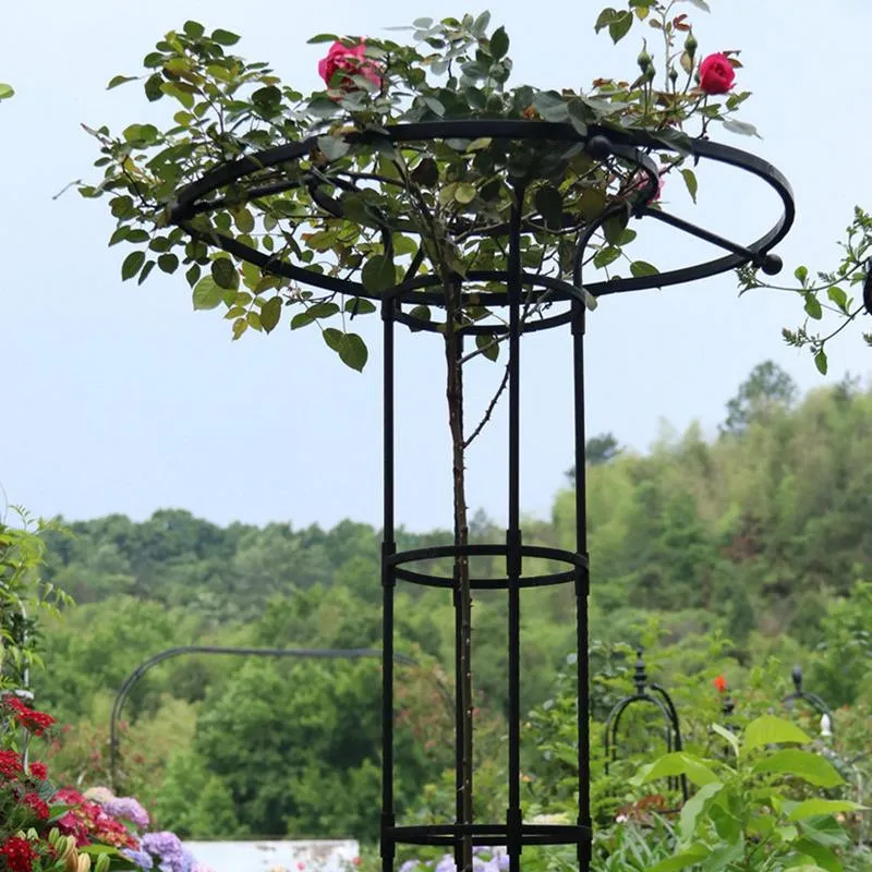 Garden Trellis Metal Climbing Plant Support Rust-Proof Vine Trellis for  Flower Pots from Dhgate Other Home Storage & Organization - price 37.27