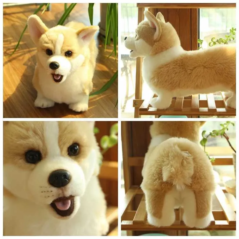Realistic stuffed corgi shop