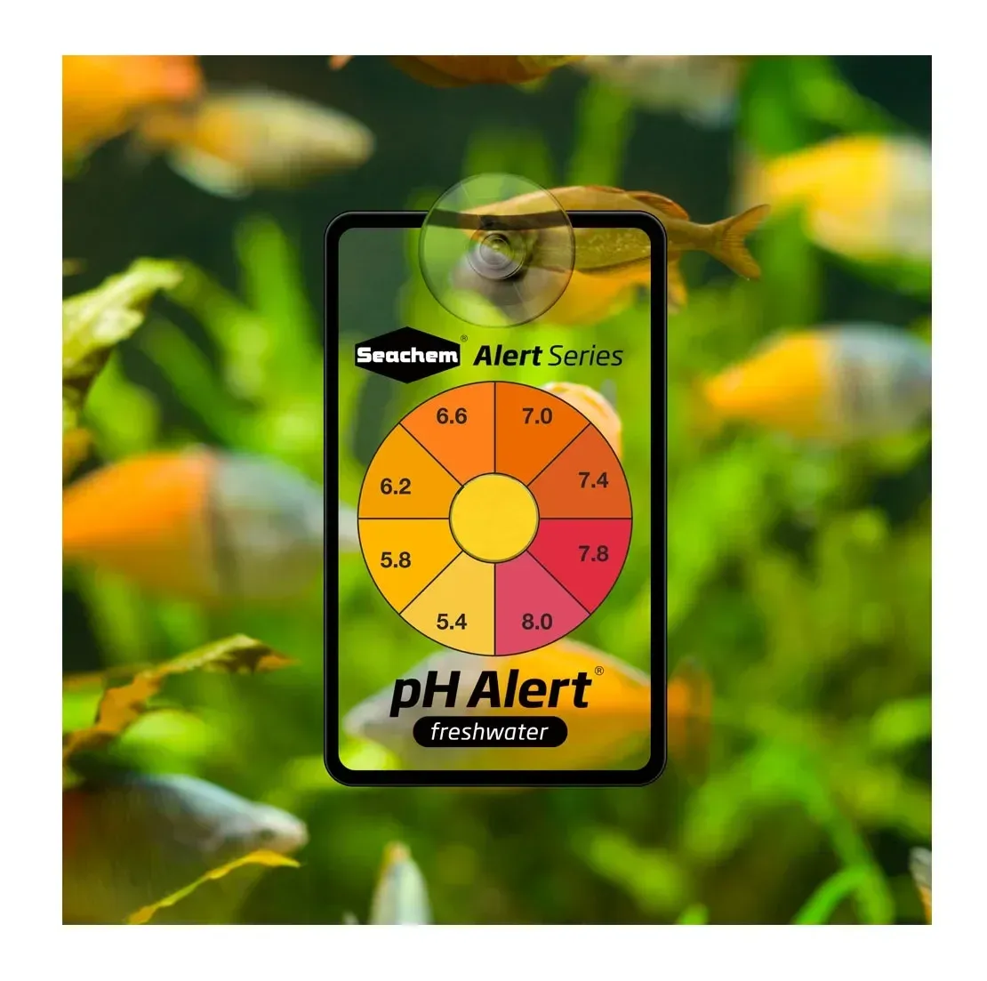 DHgate Seachem Water Quality Test Kit Rapid Ammonia Alert for Freshwater Saltwater Pet Supplies