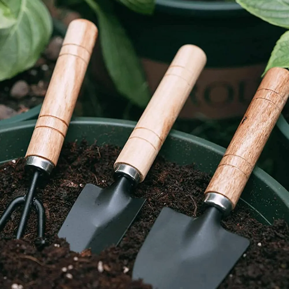 Herramienta De Jardín Compacta Juego De Plantas Para Exteriores Interiores:  Mini Herramientas De 6 Piezas Con Guante De Trabajo Para Excavar,  Desmalezarse Y Cuidar Flores, Cactus, Verduras De 9,56 € | DHgate, image size:1000x1000