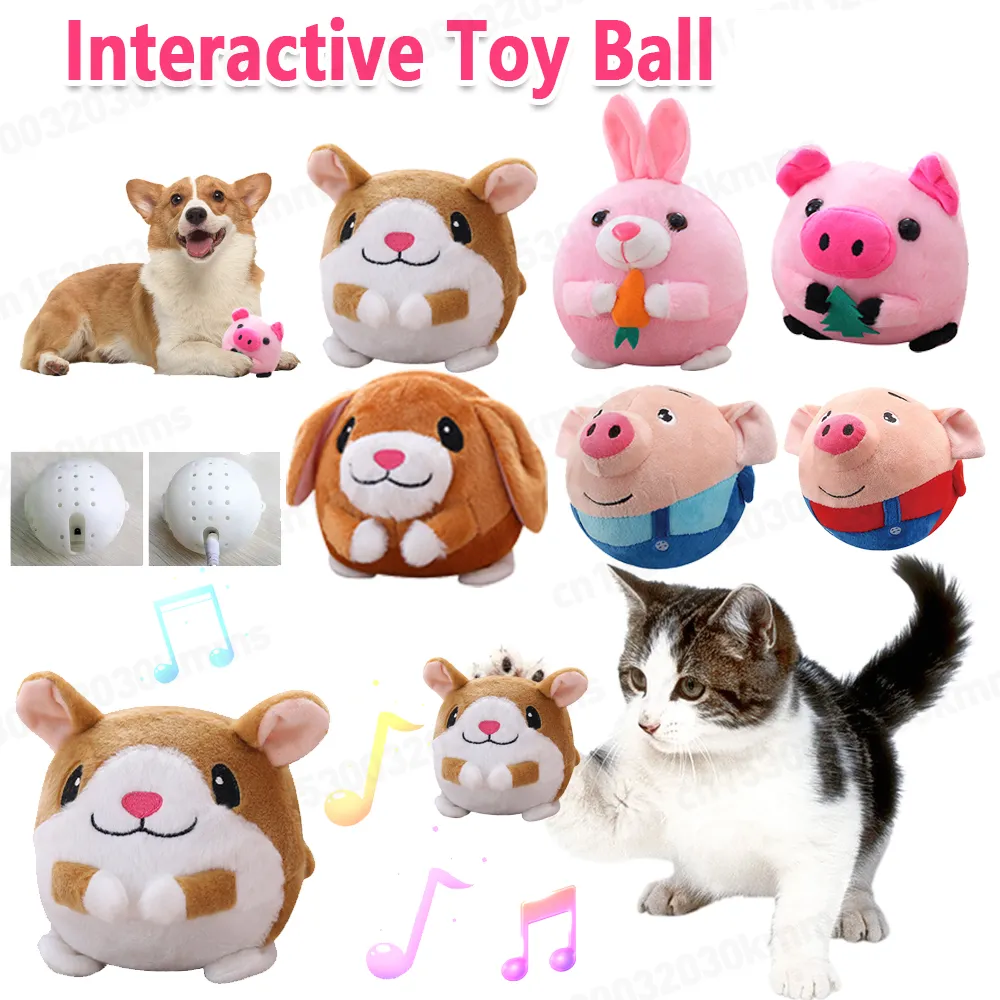 DHgate Animated Plush Dancing Cactus Toys Interactive Singing Hamster Toys Electric Stuffed Toys Soft Plush Doll Toys Gifts for Kids Christmas Birthday Gifts Toys Gifts