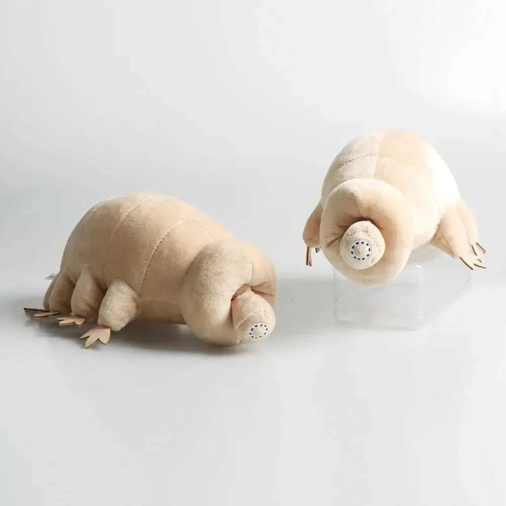 25CM Tardigrade Plush Toy Educational Soft Water Bear Doll Gift
