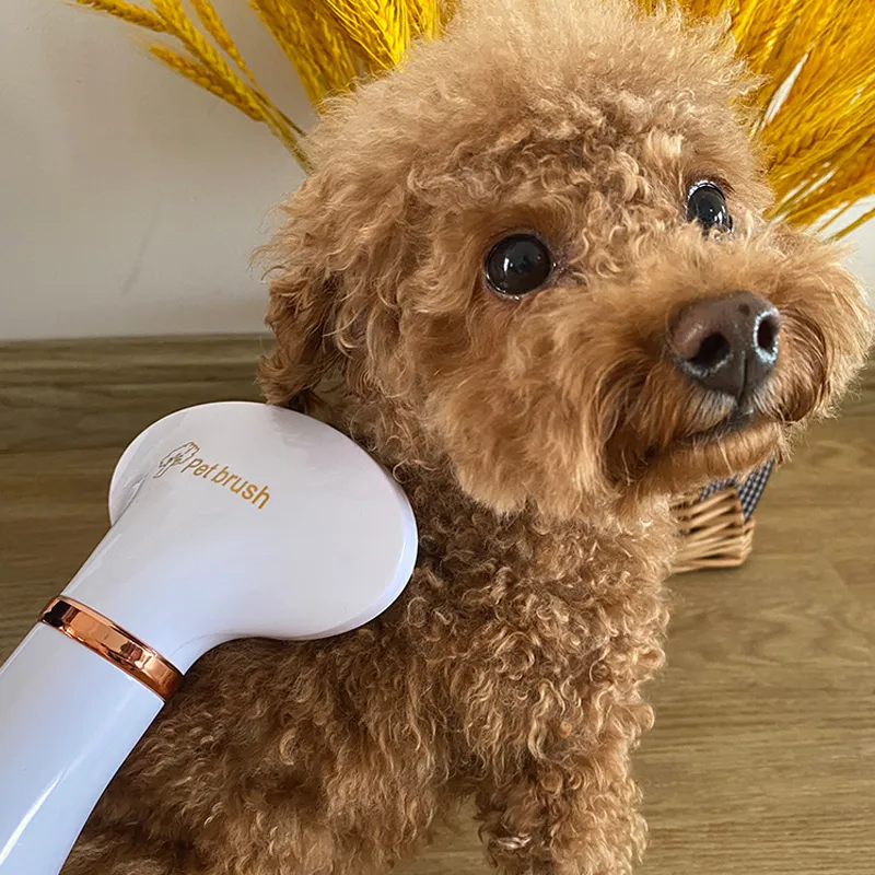 Portable 2 In 1 Pet Hair Dryer With Comb And Comb Brush For Dogs And Cats Low Noise Temprature Ideal For Grooming And Pet Fur Blowing From Ddmymay 35.33 DHgate.Com
