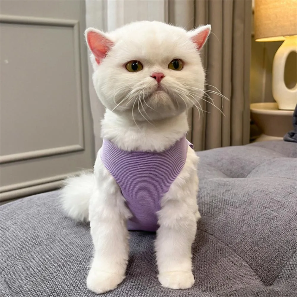 Cat spay suit online