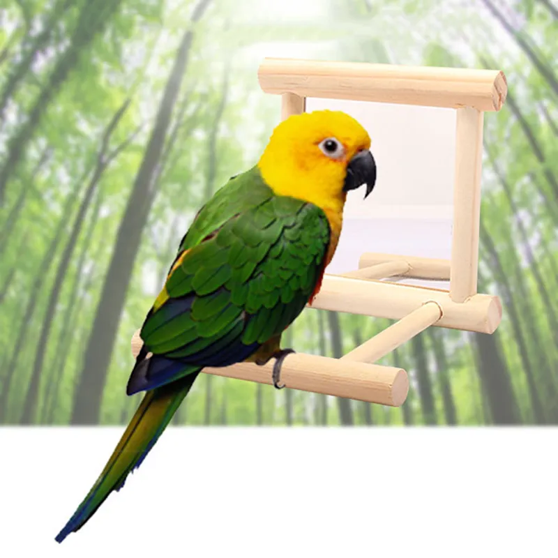 Cool bird toys cheap