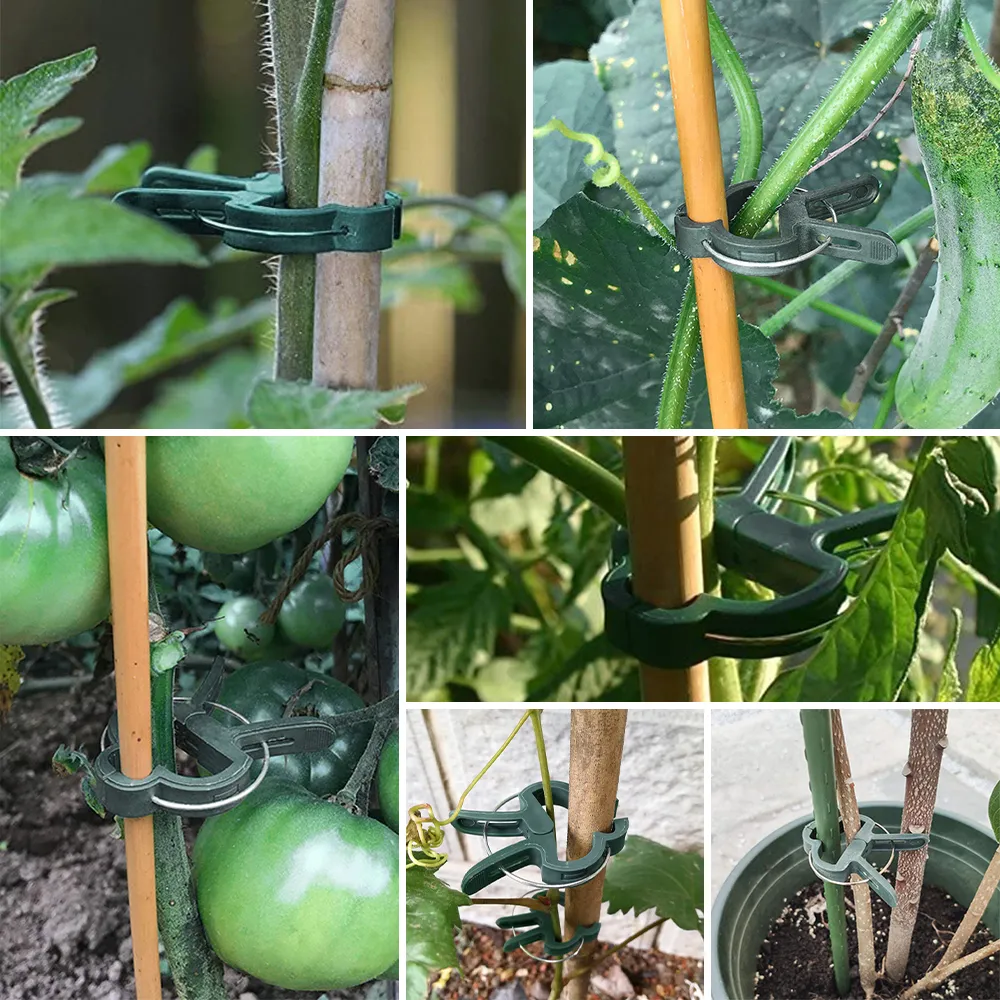 200Pcs Plant Support Clips - Ideal For Grape Vine, Ghana