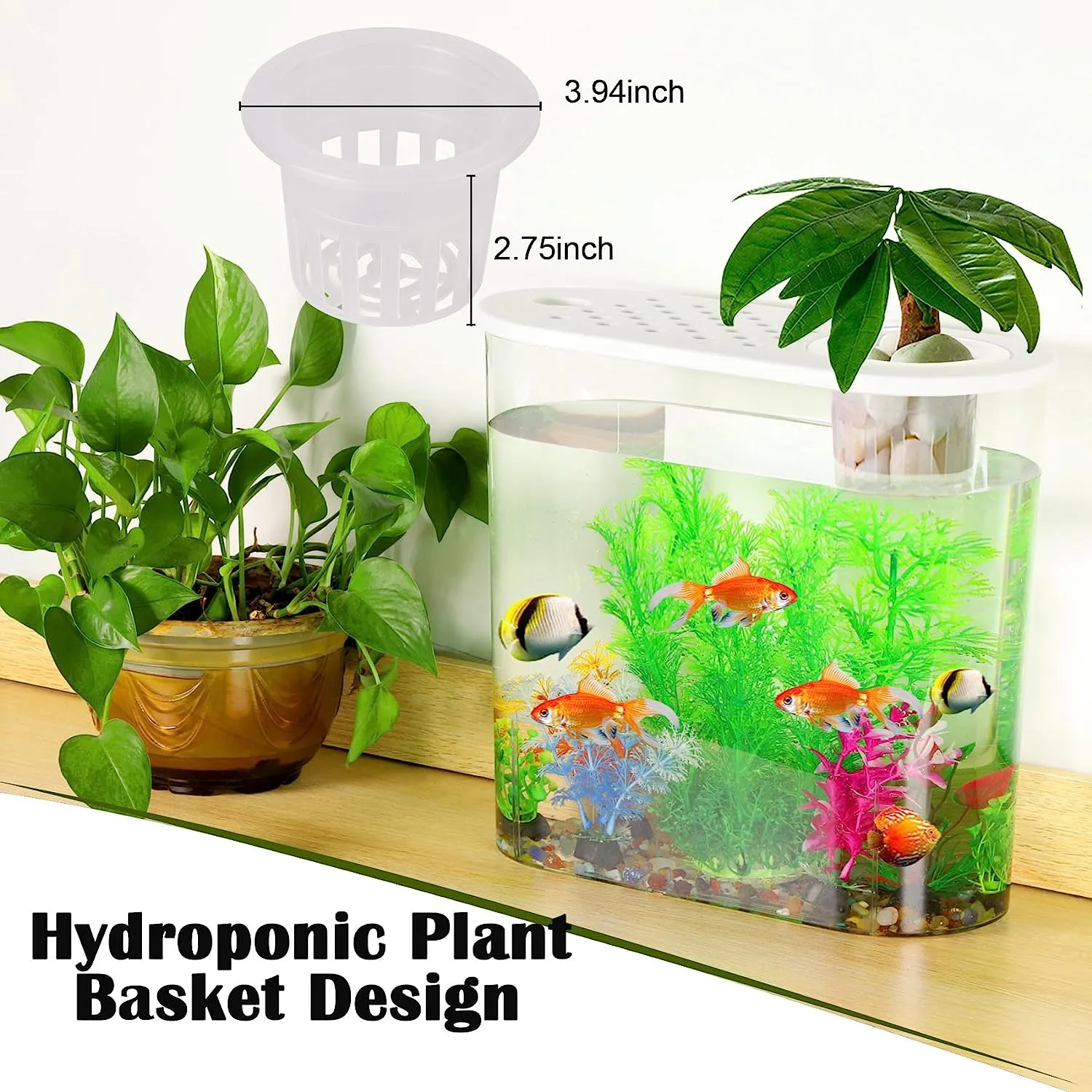 Betta fish tank starter kit hot sale