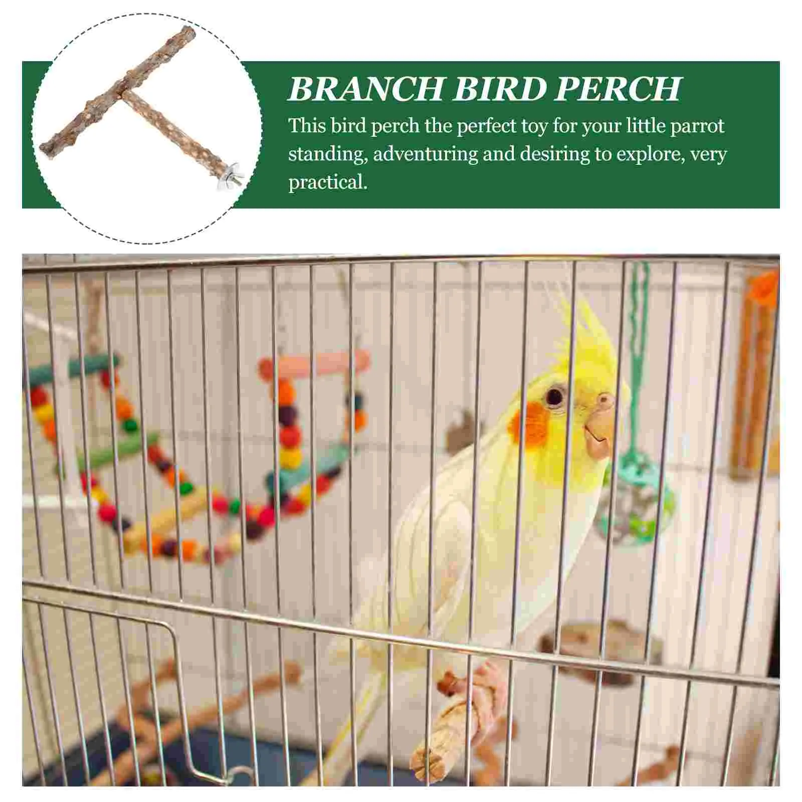 Budgie perch stand sales