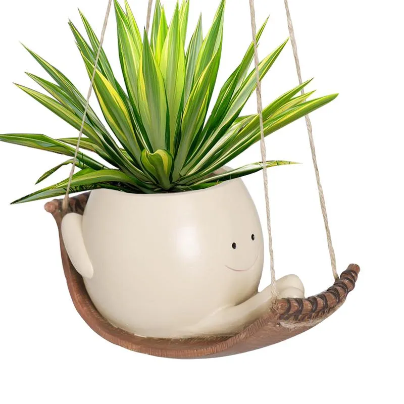 jade plant money plant Crassula ovata Jade Money Plant Lucky Plant Succulent main image 0