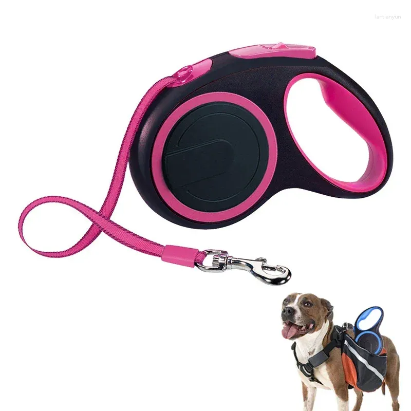 8m dog lead hotsell