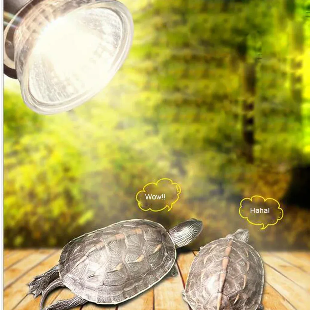DHgate 3W 6W 10W UVA UVB 3.0 Reptile Lamp Turtle Basking UV Light Bulb Heating Lamp for Amphibians Lizards Temperature Controller Pet Supplies