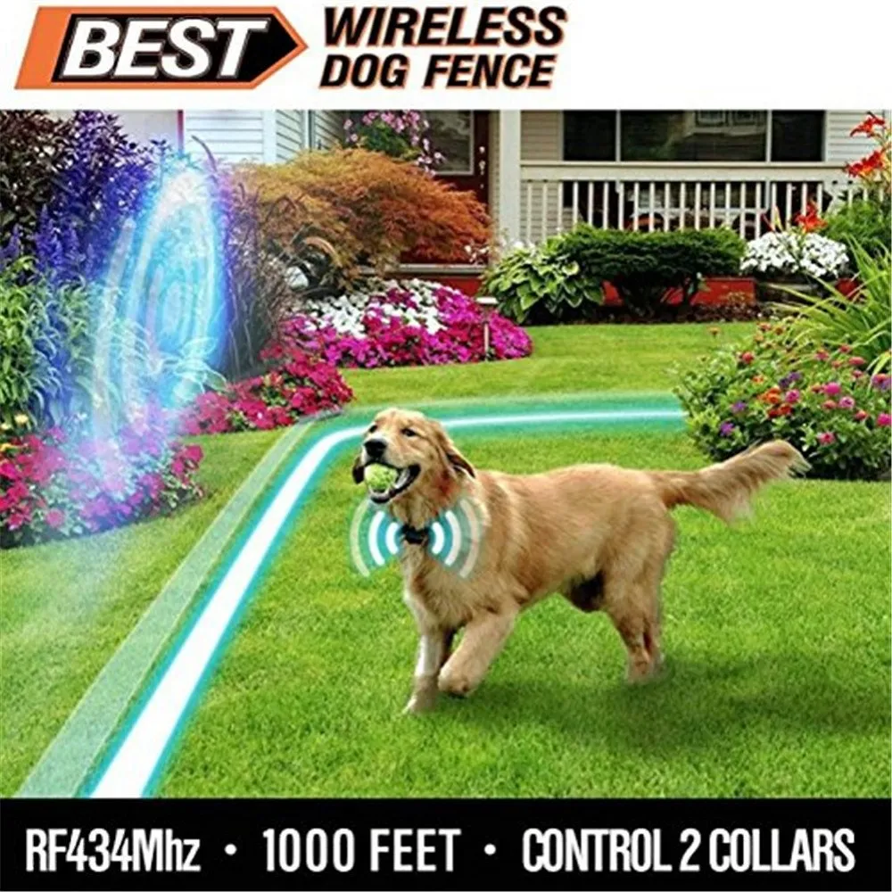 Shock collar fencing for dogs online