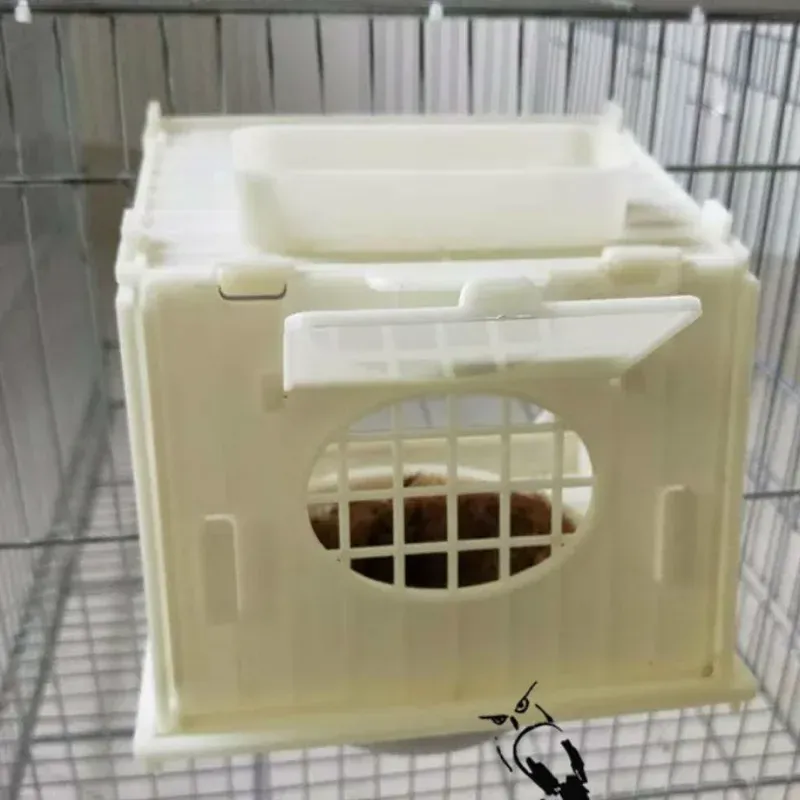 The Benefits of Using a Window Hummingbird Feeder for Close-Up Bird Watching