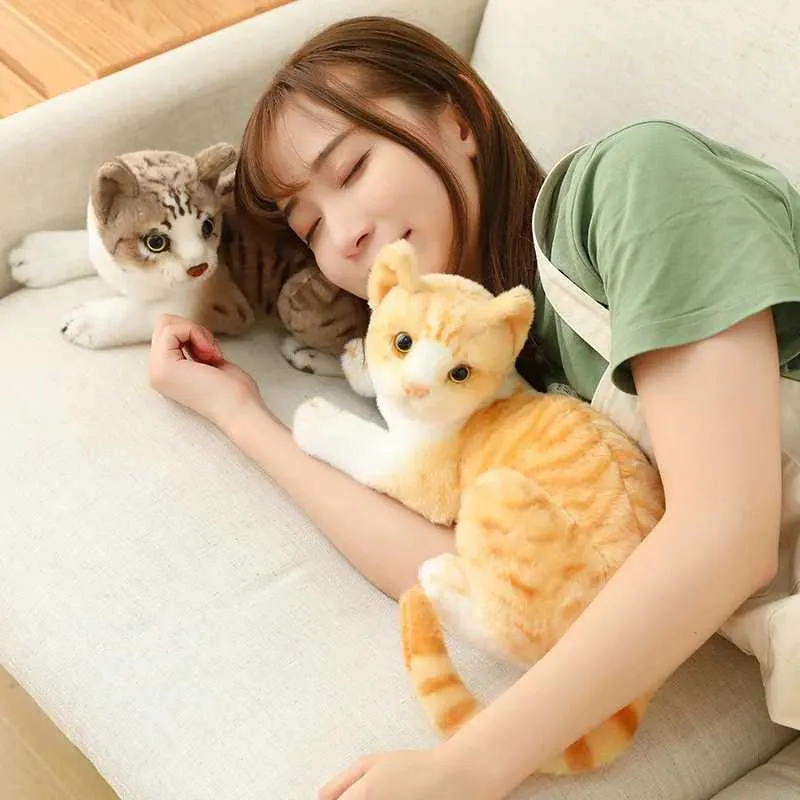 Real like stuffed cats clearance