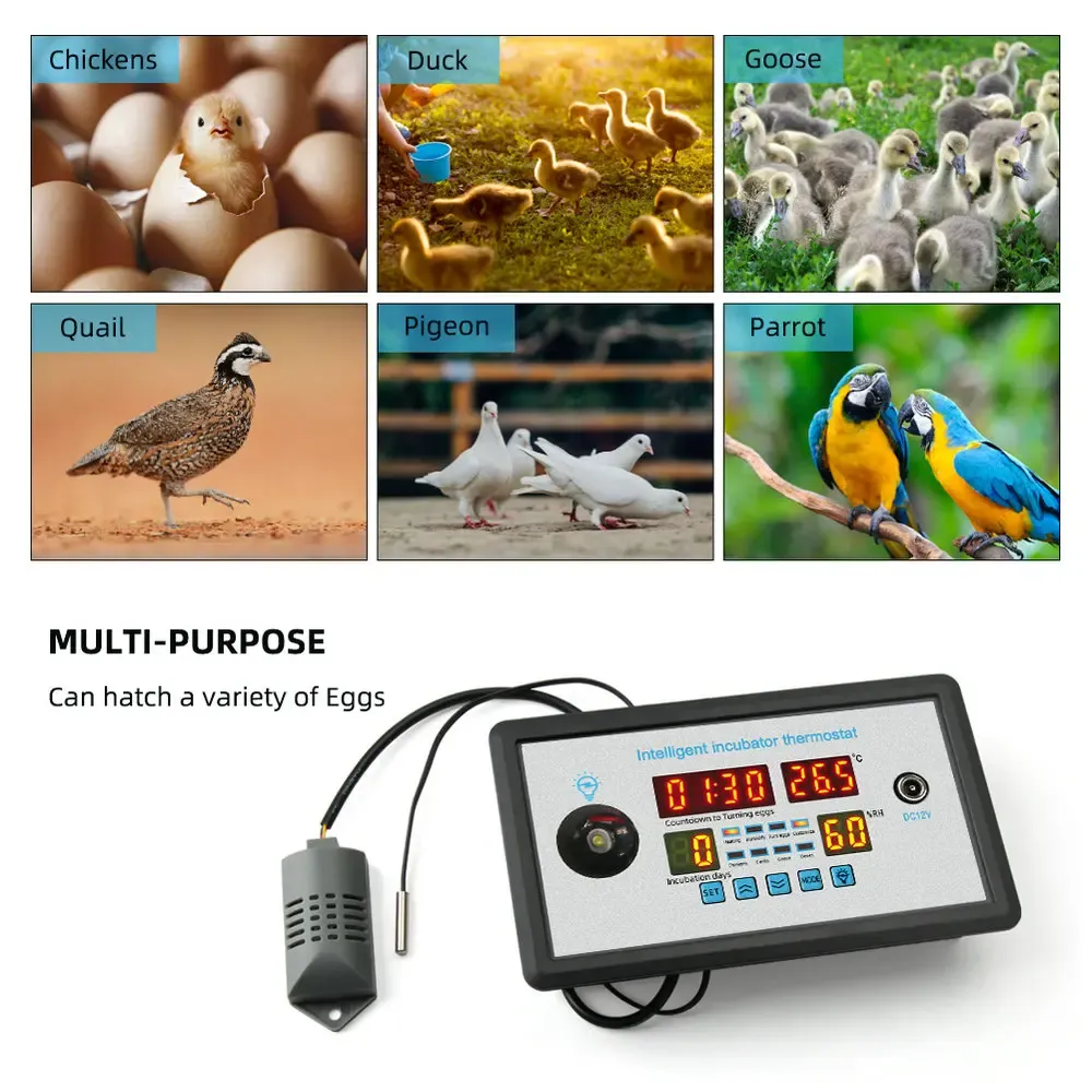 DHgate.com:Smart Digital ZFX-W9002 Auto Incubator Thermostat DHgate.com:Smart Digital ZFX-W9002 Auto Incubator Thermostat