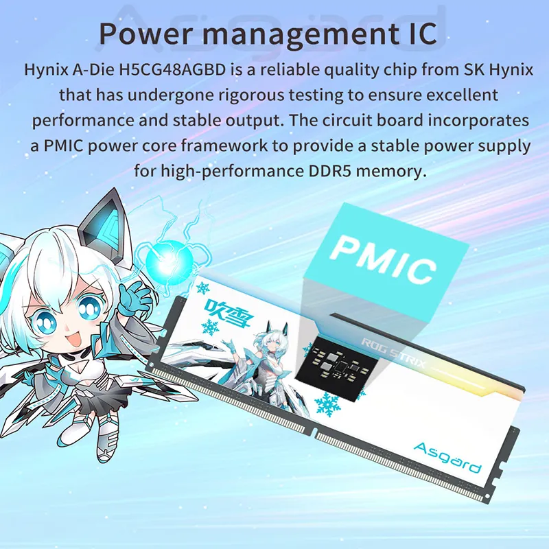 Asgard DDR5 RAM 32GB 16GBx2 6000/6400/6800MHz RGB Memory, Hynix A