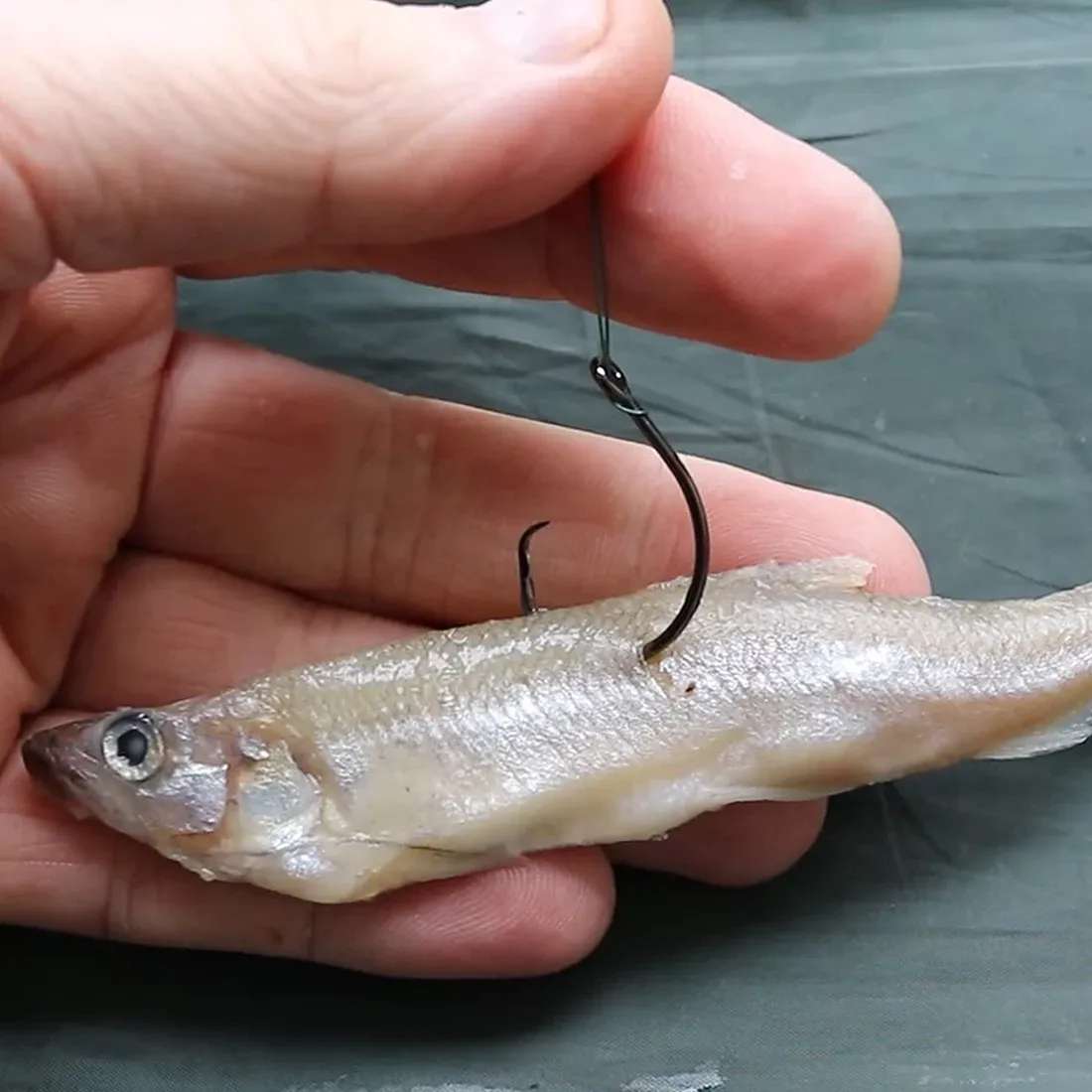 9KM 25~100Pcs Circle Hooks Sea Fishing Hooks Wide Gap Catfish Hooks