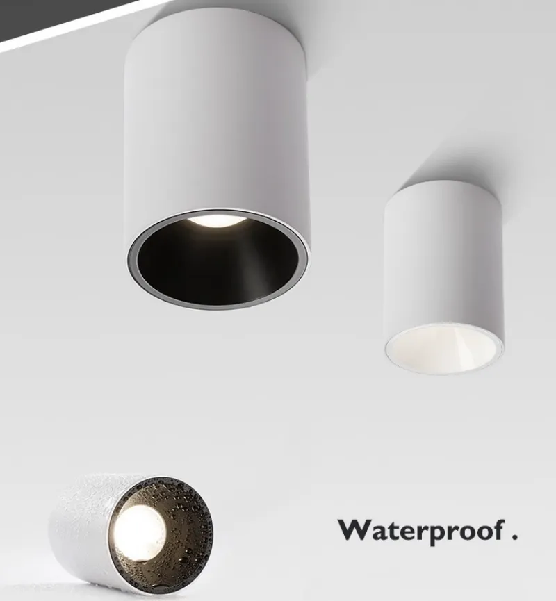 Ip65 ceiling downlight hot sale