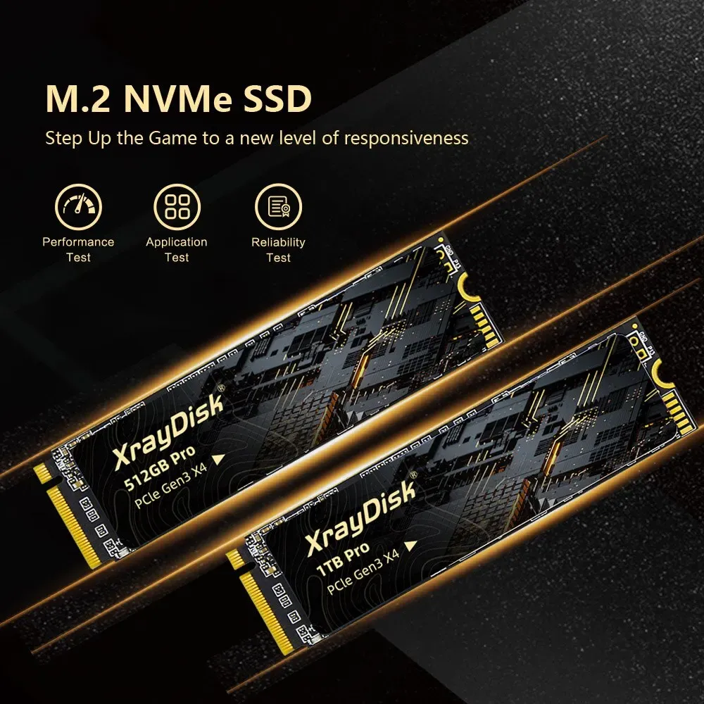 内蔵型SSD xraydisk SSD m.2 M.2 SSD: High Speed Internal Solid State Drive  From Ddmyhome