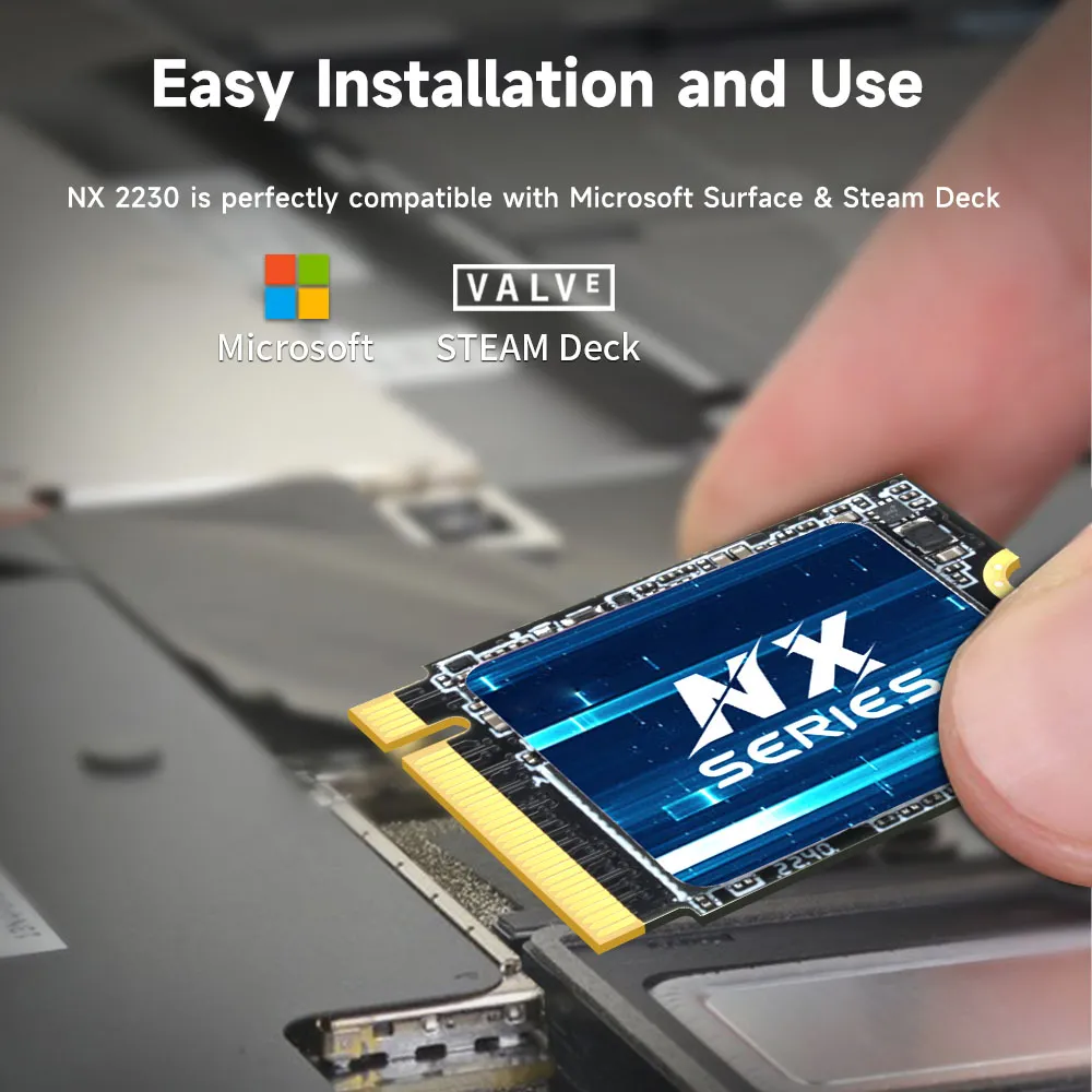 SteamDeck256GB SSD 積もら