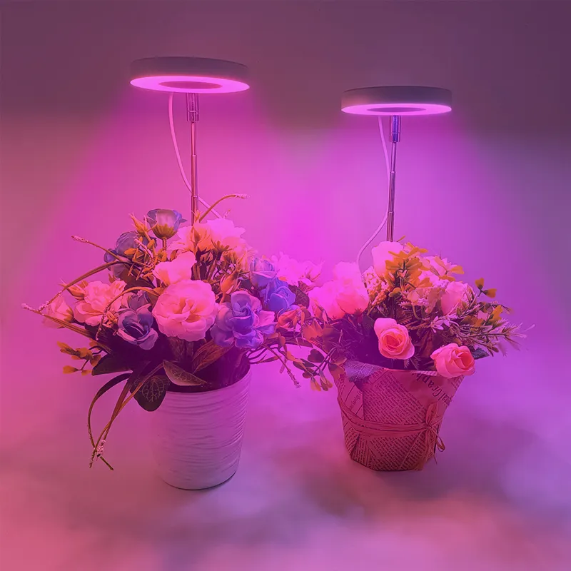 LED Grow Light Full Spectrum Plant Growth Lamp USB 5V Height Adjustable ...