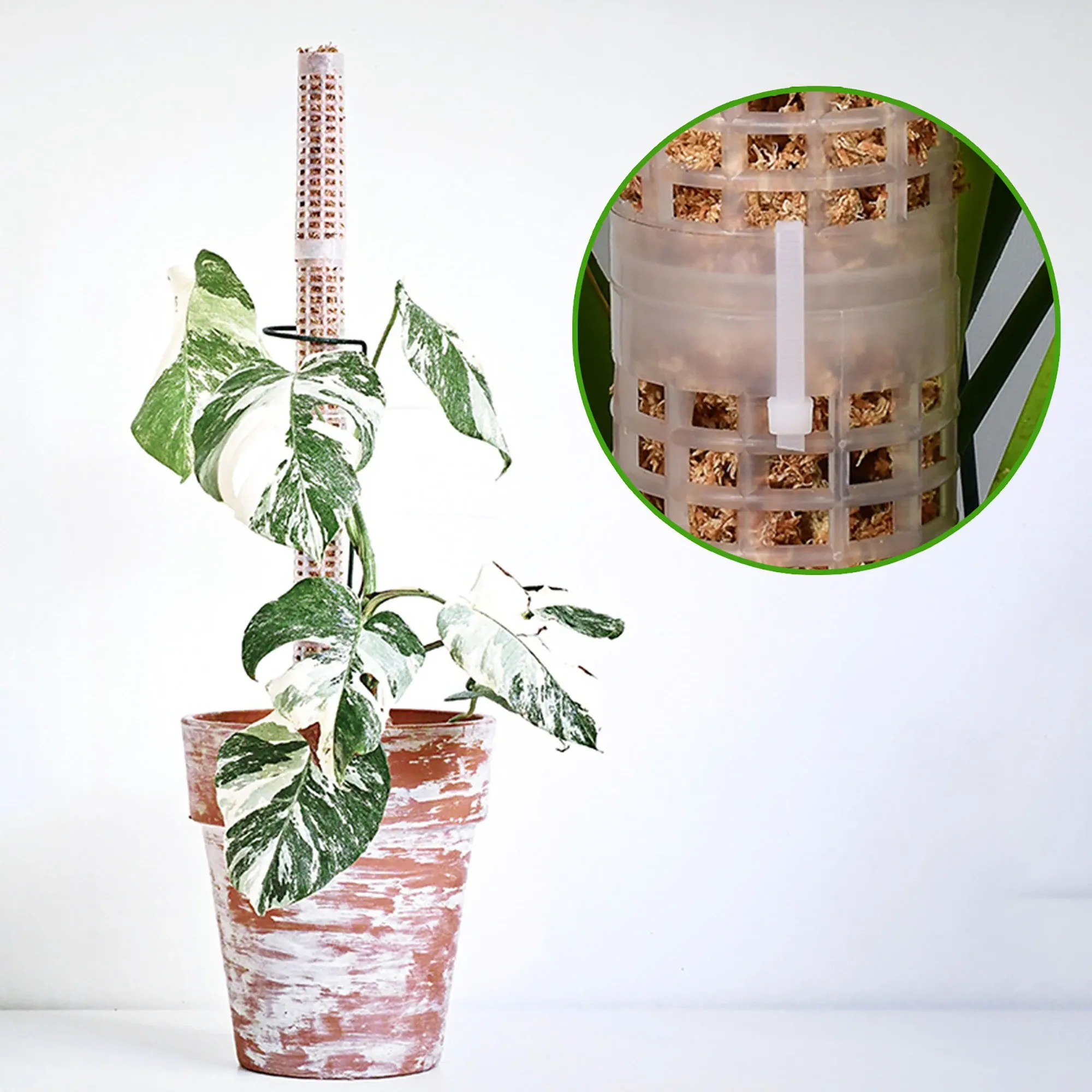 Plant Climbing Frame Stackable Plant Moss Stick From Ddmylucky