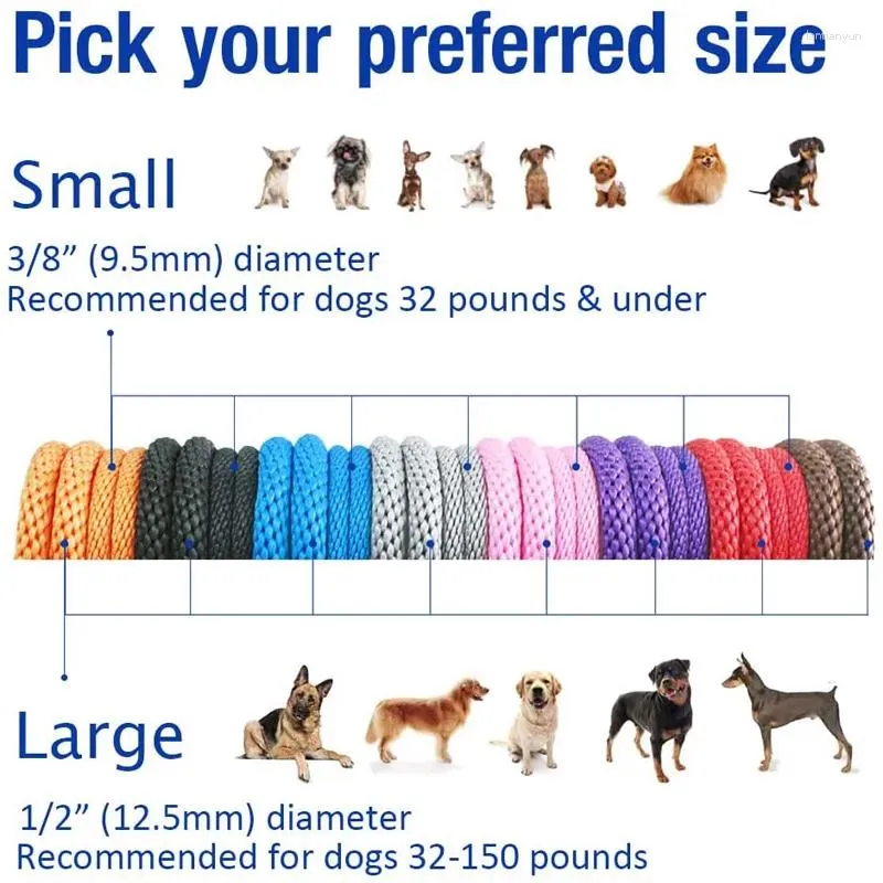 One piece dog collar deals