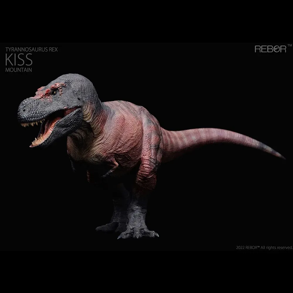 Retail Boxed 1:35 Rebor Tyrannosaurus Rex Kiss Mountain T
