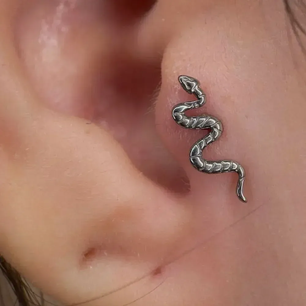 ASTM F136 Titanium Snake Nose Piercing Internal Thread Labret Helix Cartilage Tragus Piercing Helix Piercing Jewelry 16G 18G Implant Grade From Ddmyperfect 8.24 DHgate.Com