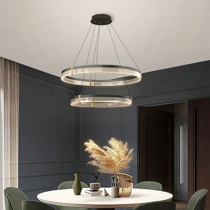 Acrylic Circle Chandelier, Modern Luxury Indoor Hanging Lamp for ...