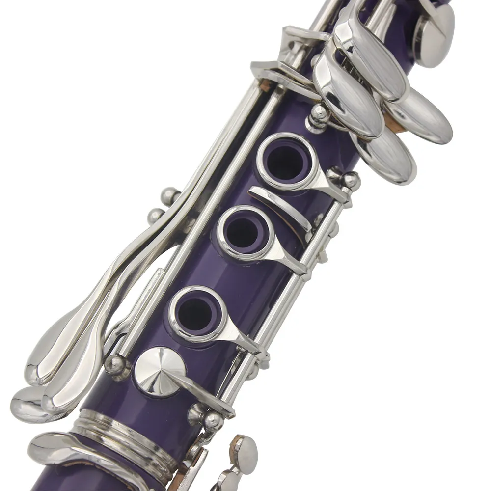 SLADE Professional Woodwind Instrument Purple 17 Key Bb B Flat Tone Purple Clarinet With Bakelite Body And Box Ideal For Musicians From Ddmysmile 351.1 DHgate.Com