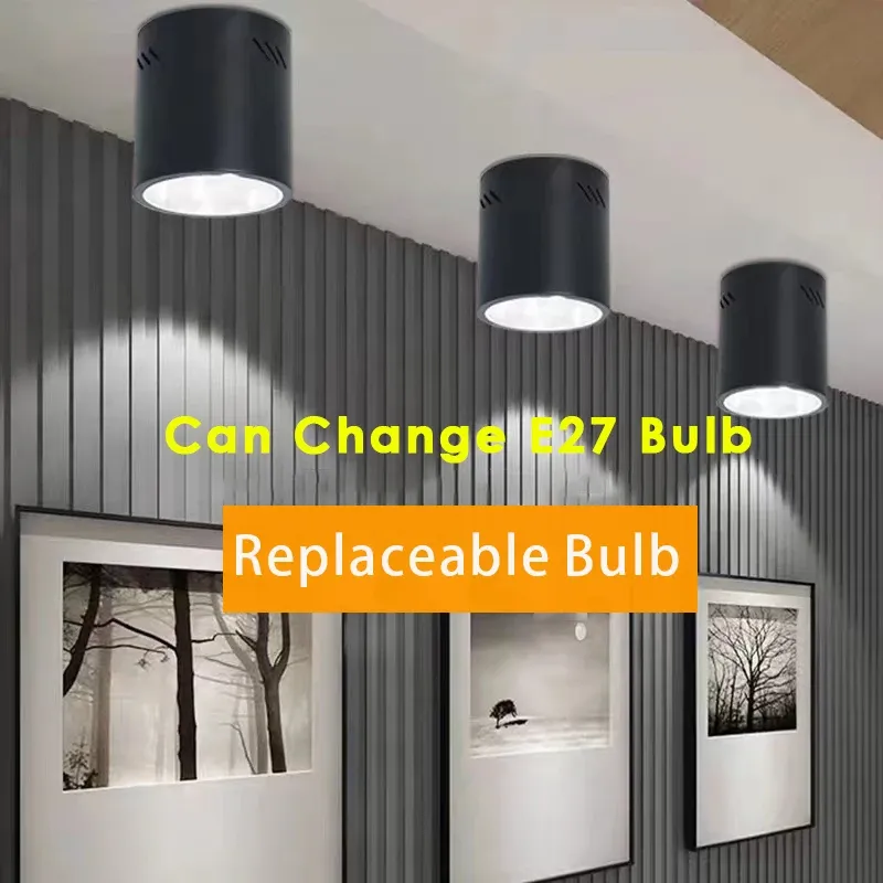 Downlights with replaceable bulbs deals