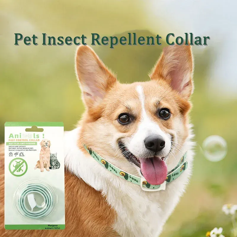 View of DHgate.com:6-Month Pet Protection: Adjustable Flea and Tick Repellent ...