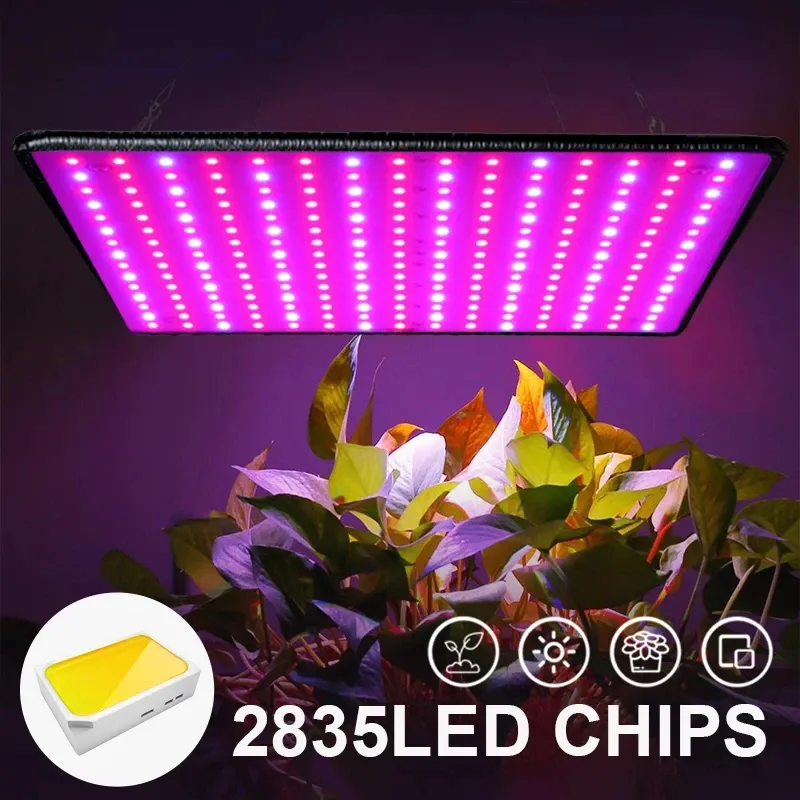 Seametal grow lights online