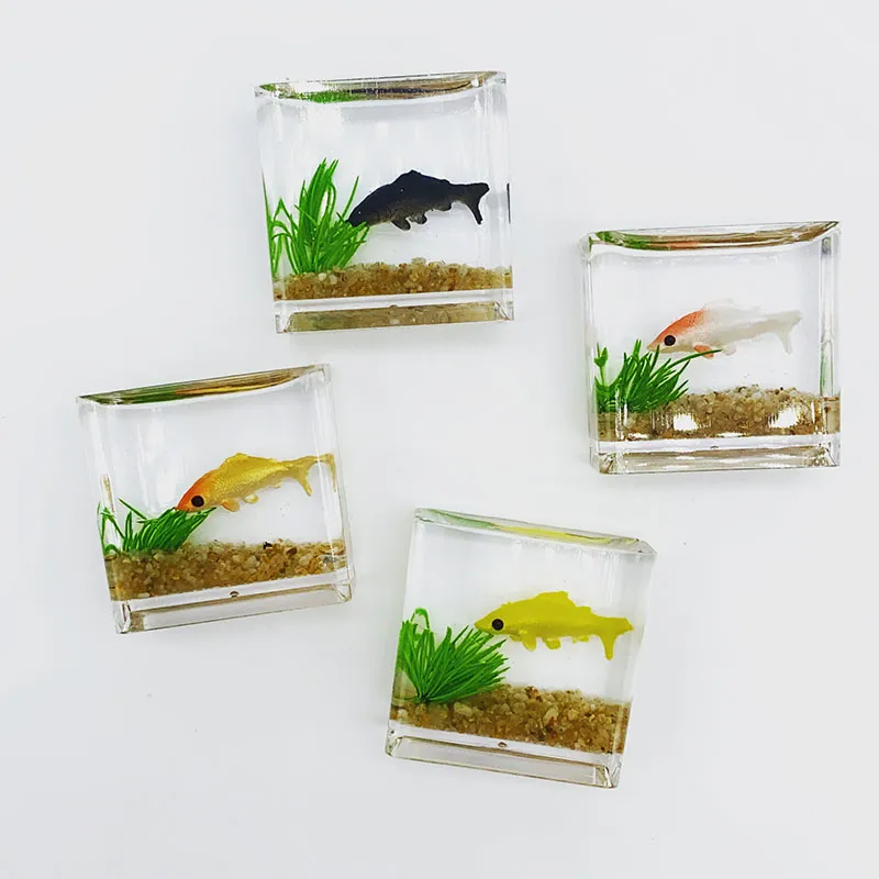 Fish tank with dollhouse furniture top