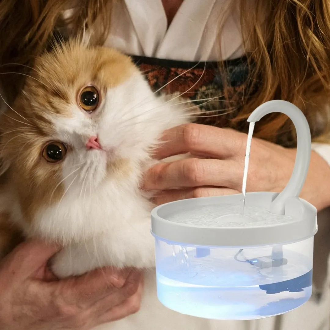 Bulk 2L Swan Neck Shaped Rechargeable Cat Water Fountain With LED Light For Bird And Dog