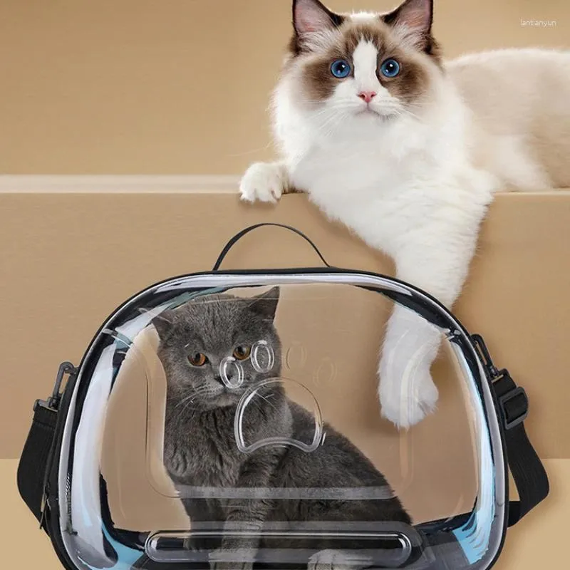 Transparent cat carrier deals